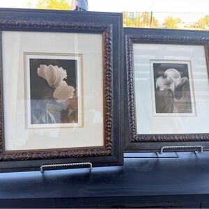 Framed Sepia Tulip Prints by Sondra Wampler | Set of 2 Botanical